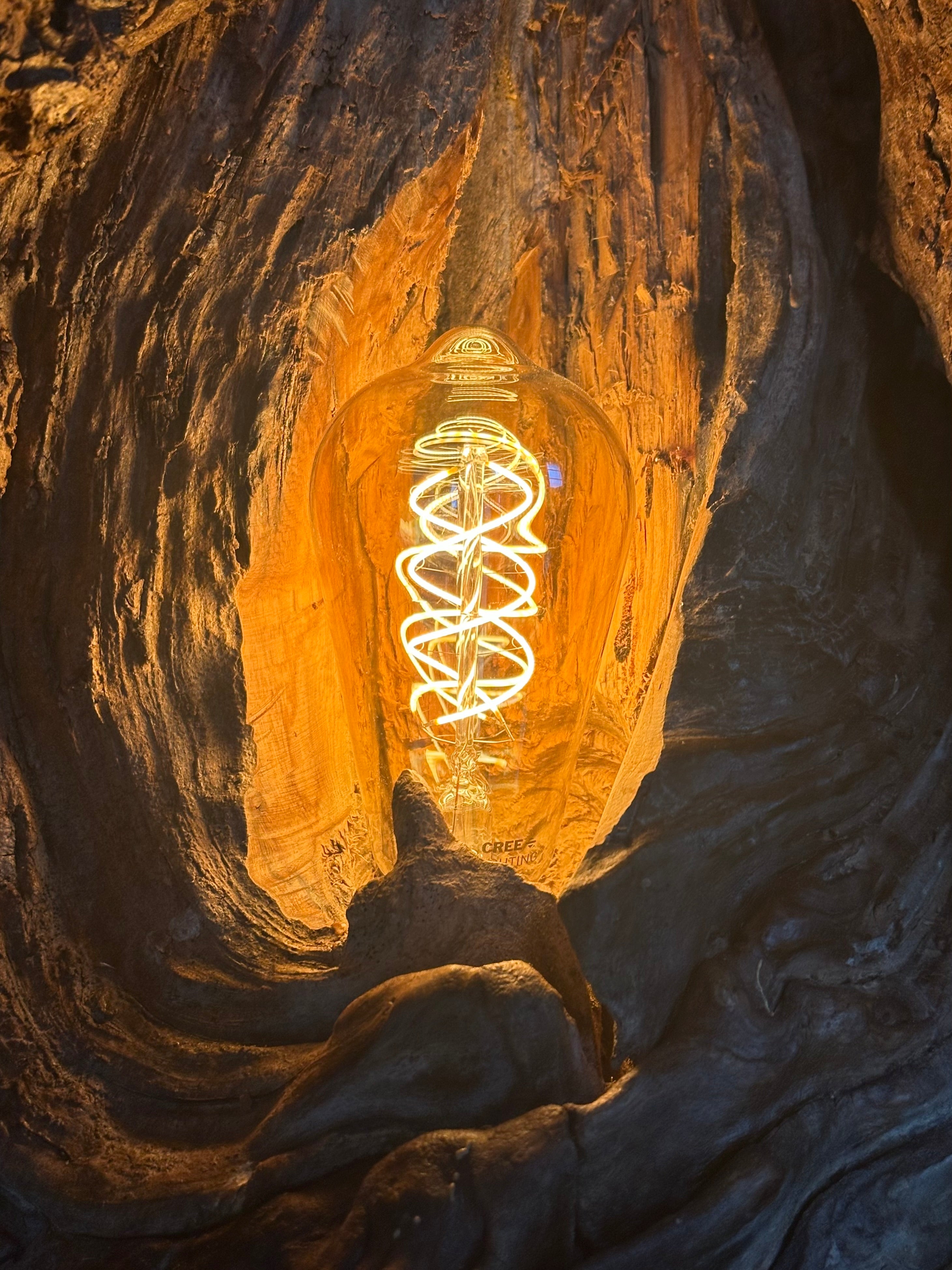 Labia Lamp
