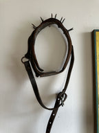 Wolf Collar