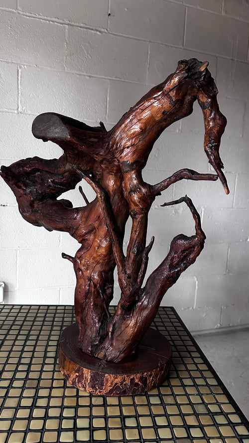 Gnarly Root Cluster