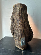 Labia Lamp