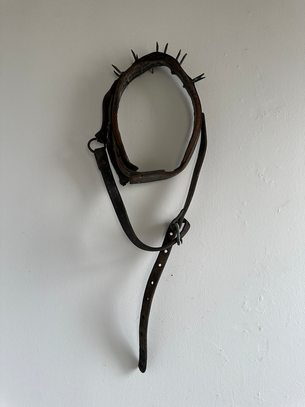 Wolf Collar