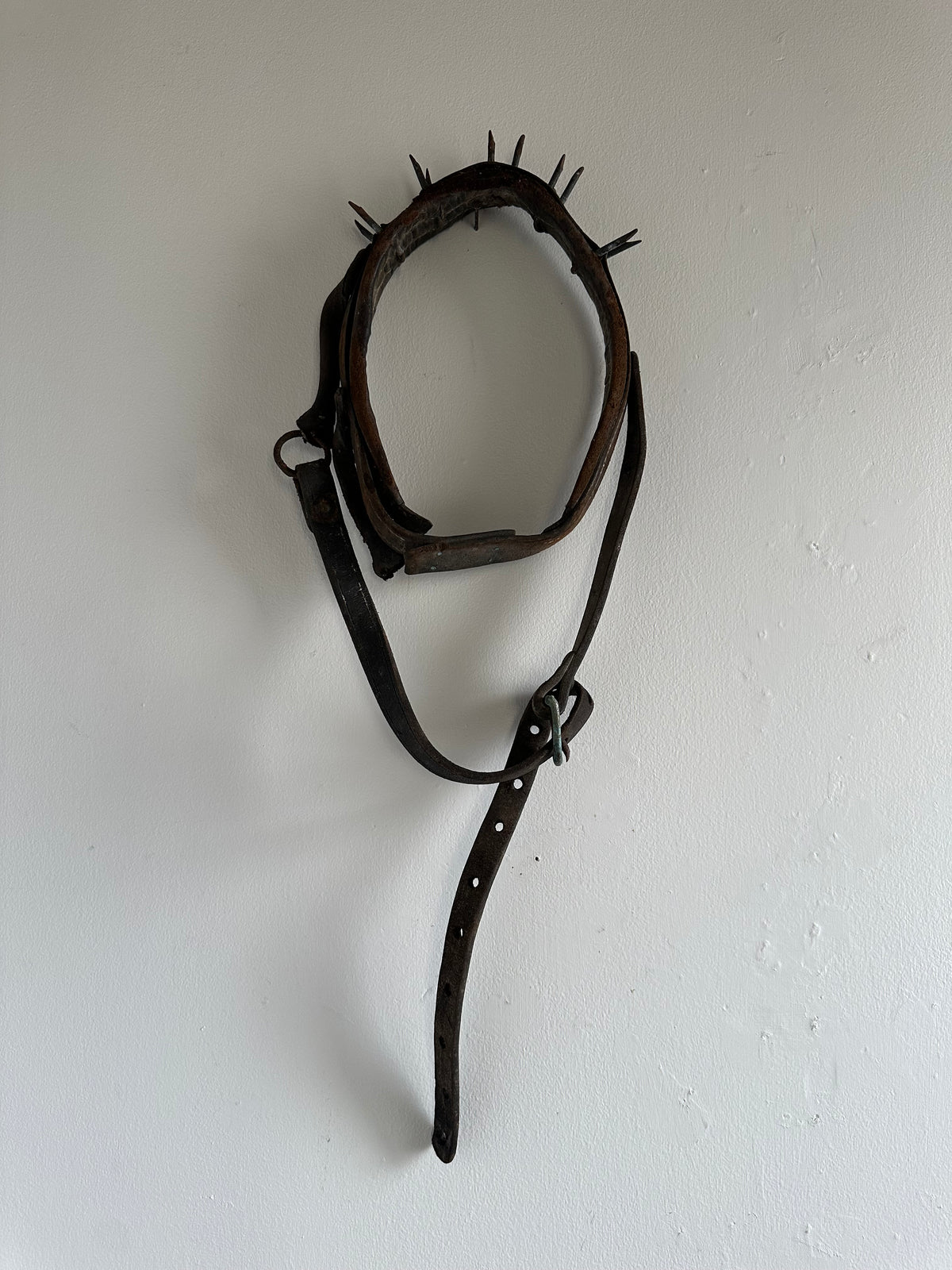 Wolf Collar