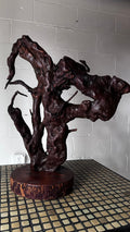 Gnarly Root Cluster