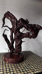 Gnarly Root Cluster