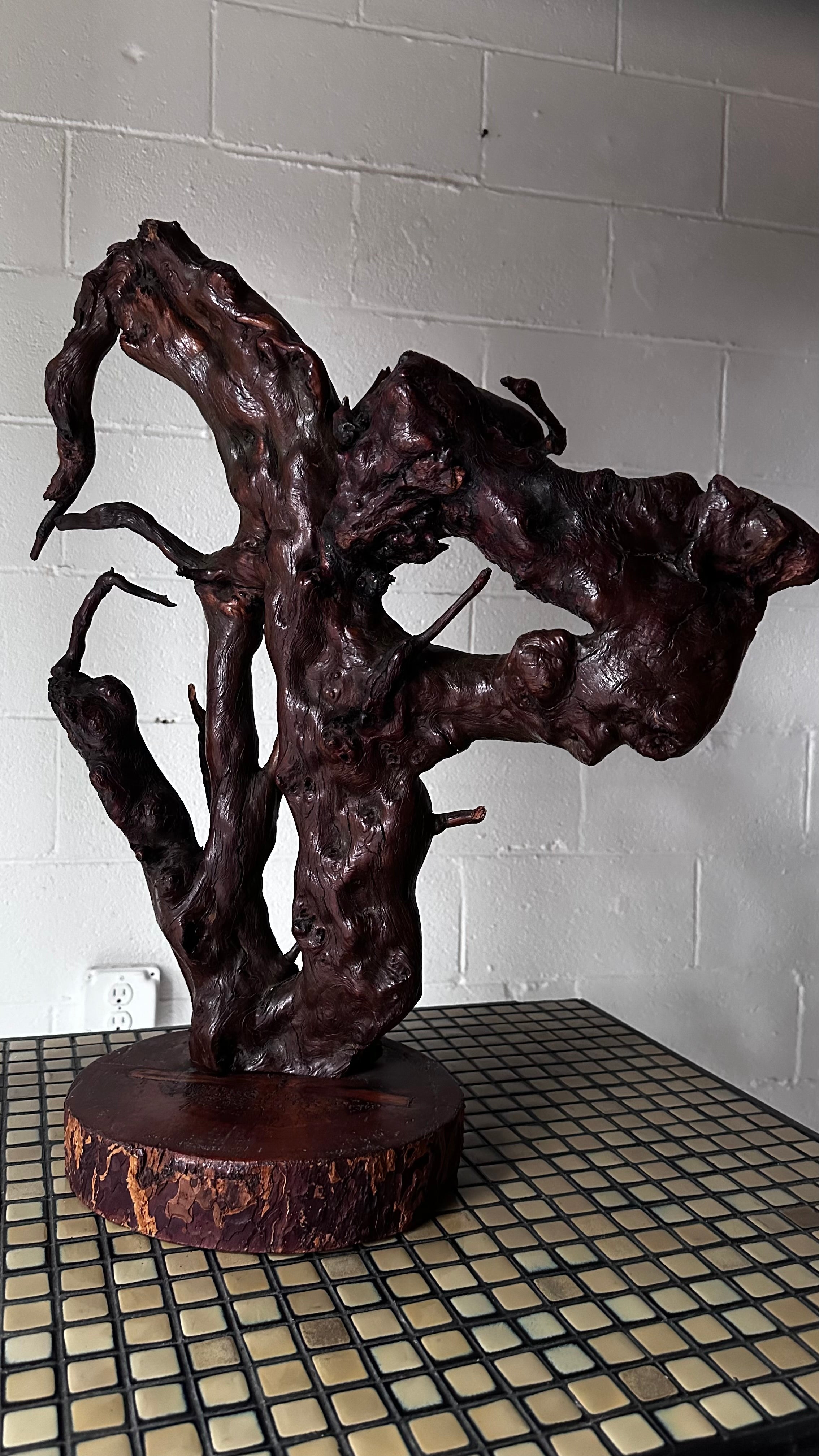 Gnarly Root Cluster