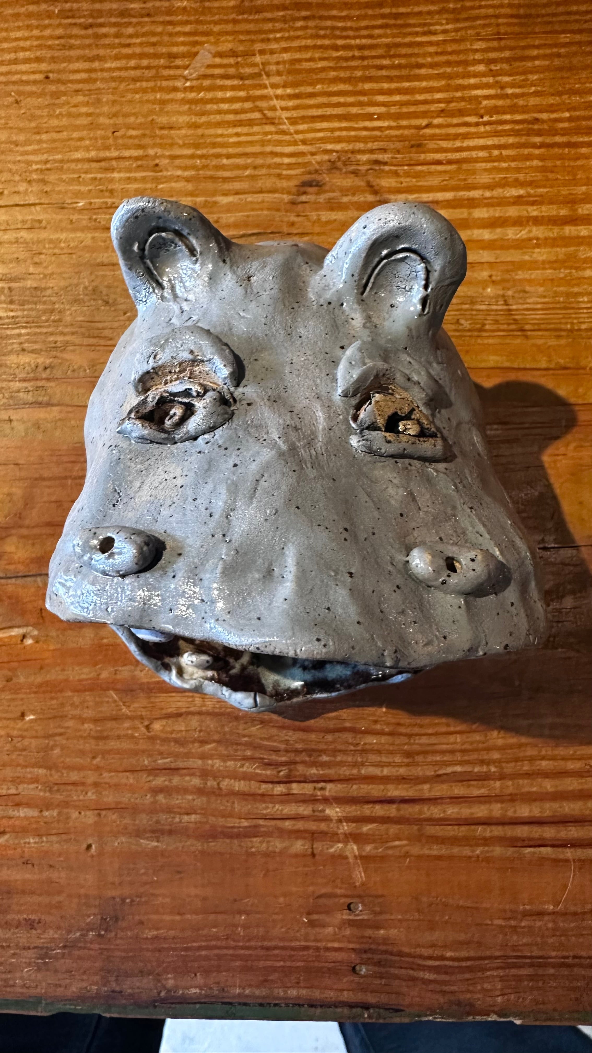 Ceramic Hippo Head