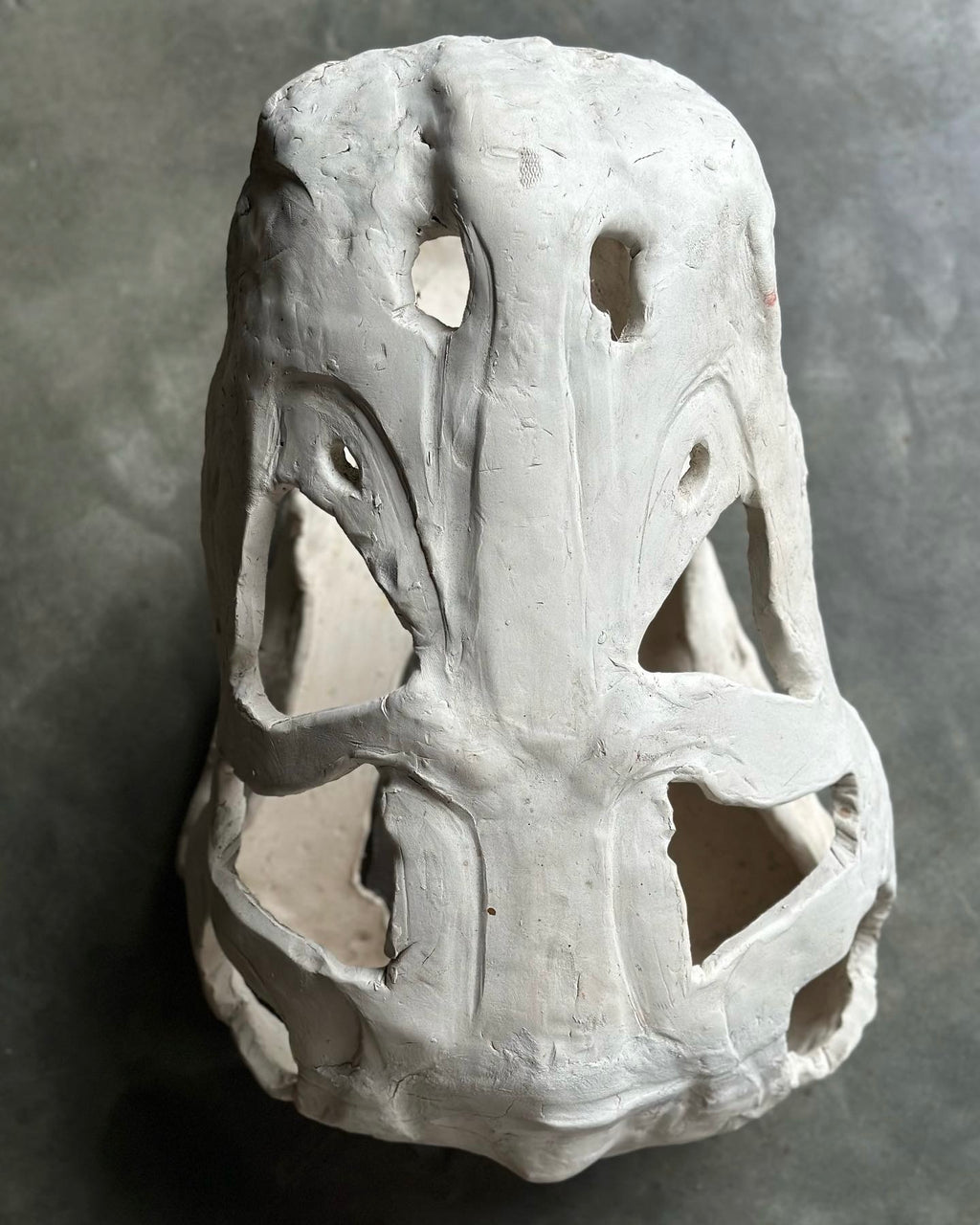 Slab Ceramic Dinosaur Skull