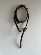 Wolf Collar