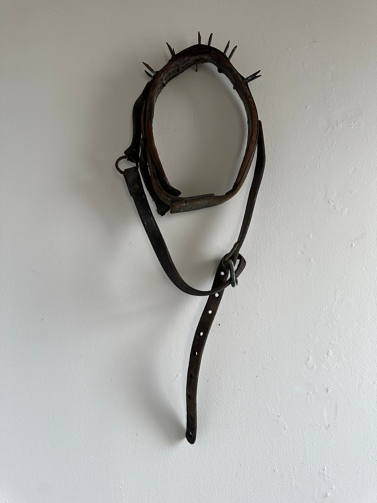 Wolf Collar