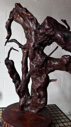 Gnarly Root Cluster