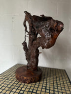 Gnarly Root Cluster