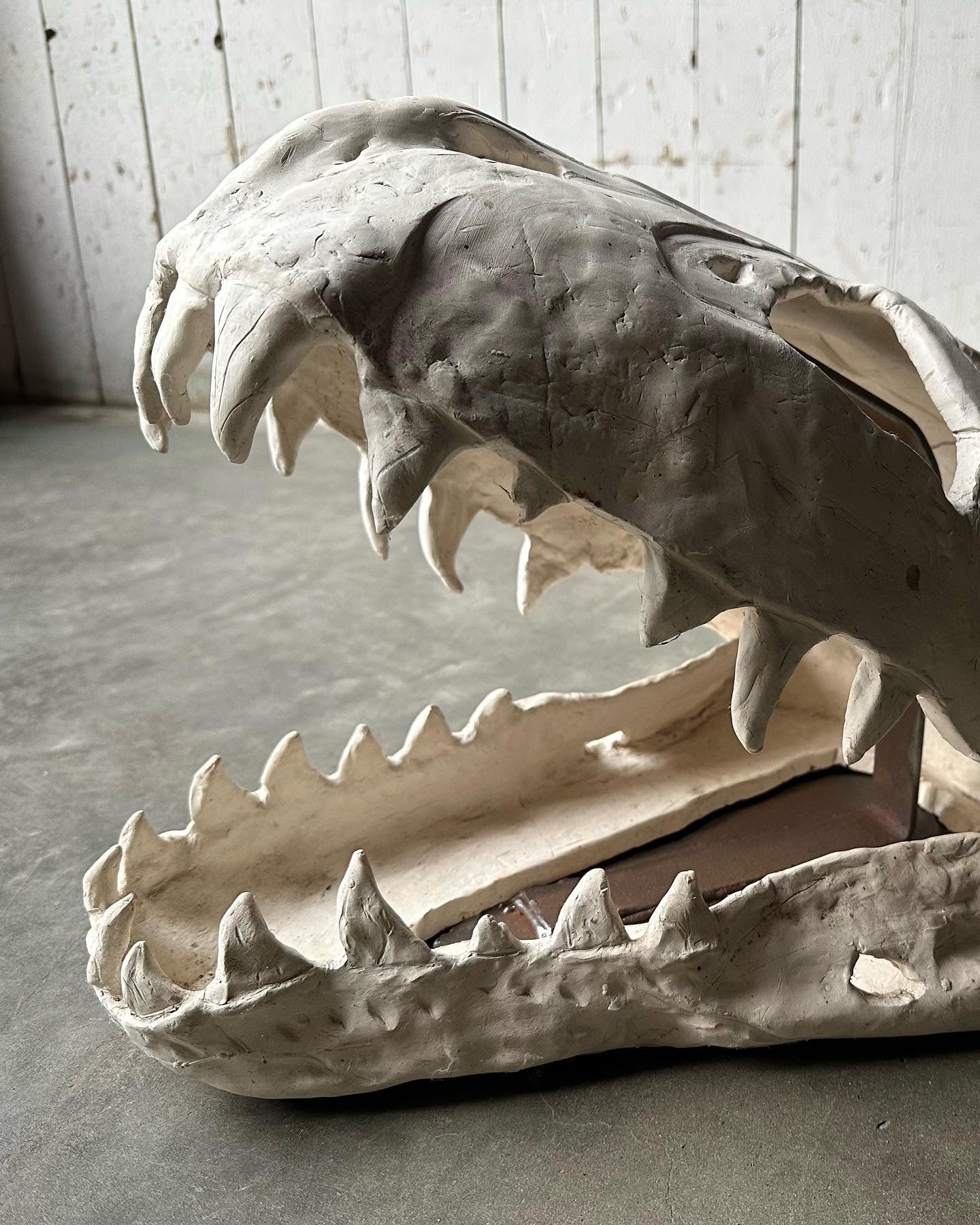 Slab Ceramic Dinosaur Skull