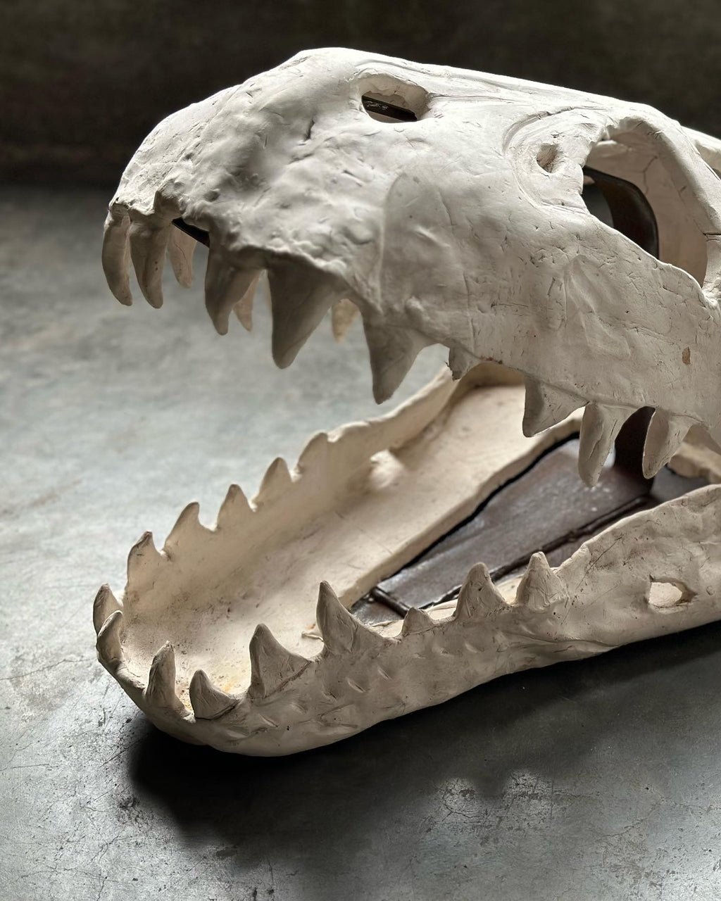 Slab Ceramic Dinosaur Skull