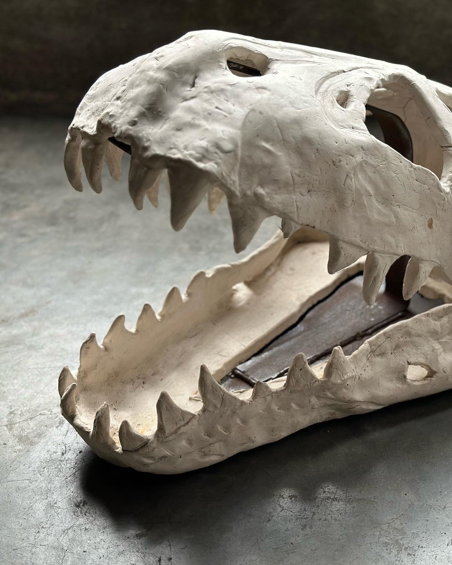 Slab Ceramic Dinosaur Skull