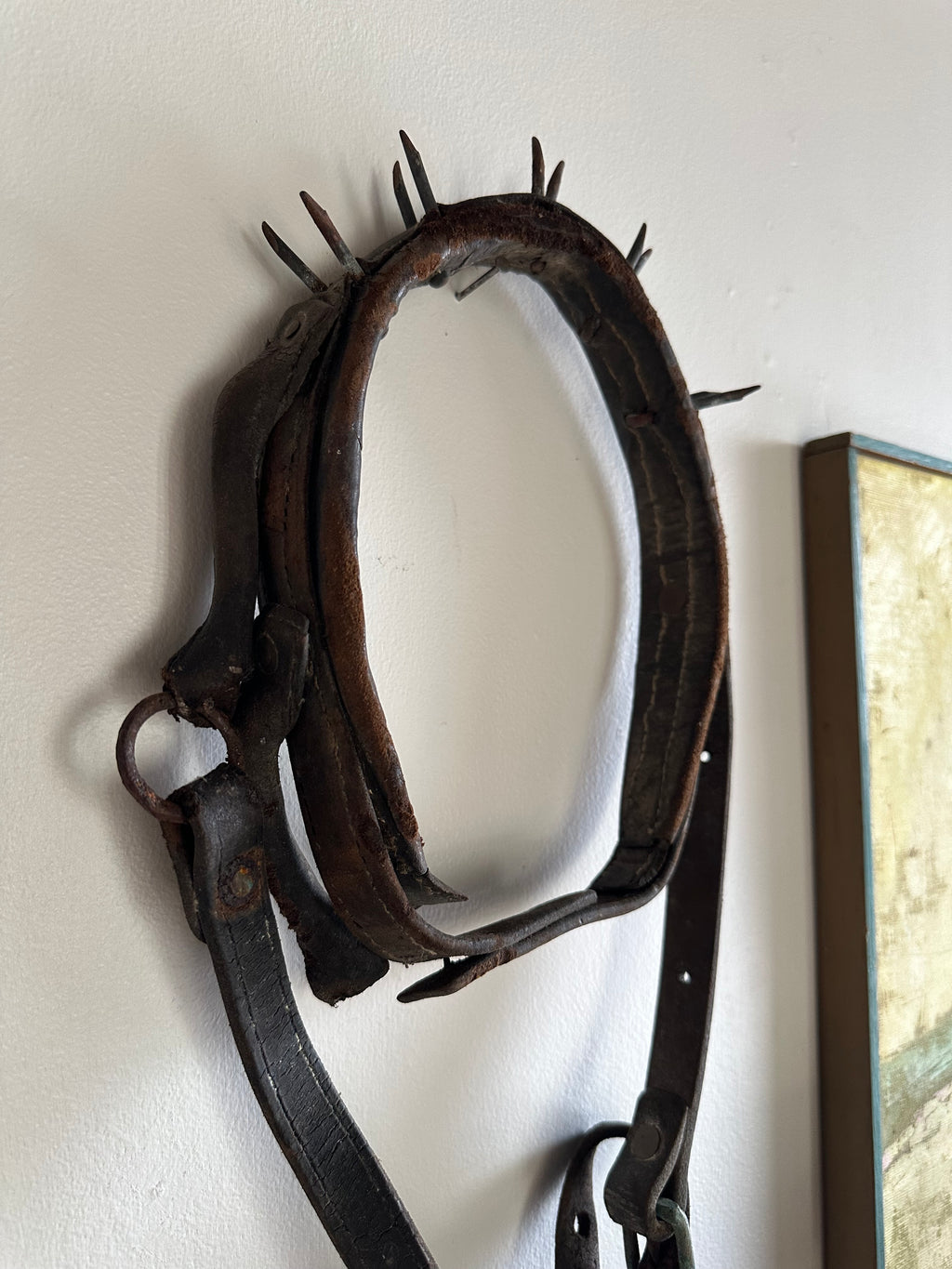 Wolf Collar
