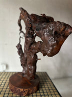Gnarly Root Cluster