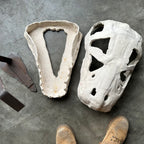 Slab Ceramic Dinosaur Skull