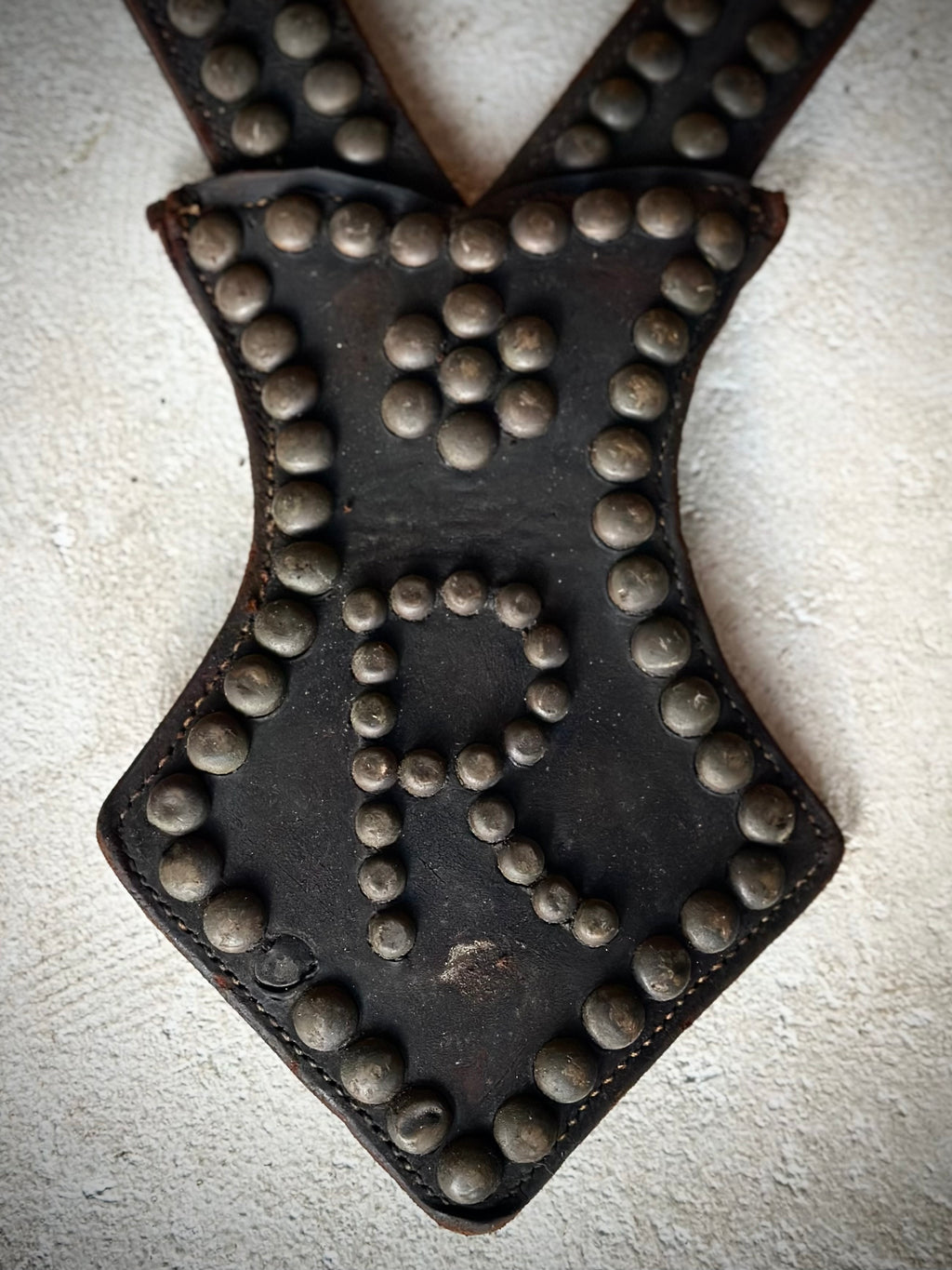 Clara’s Harness