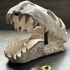 Slab Ceramic Dinosaur Skull
