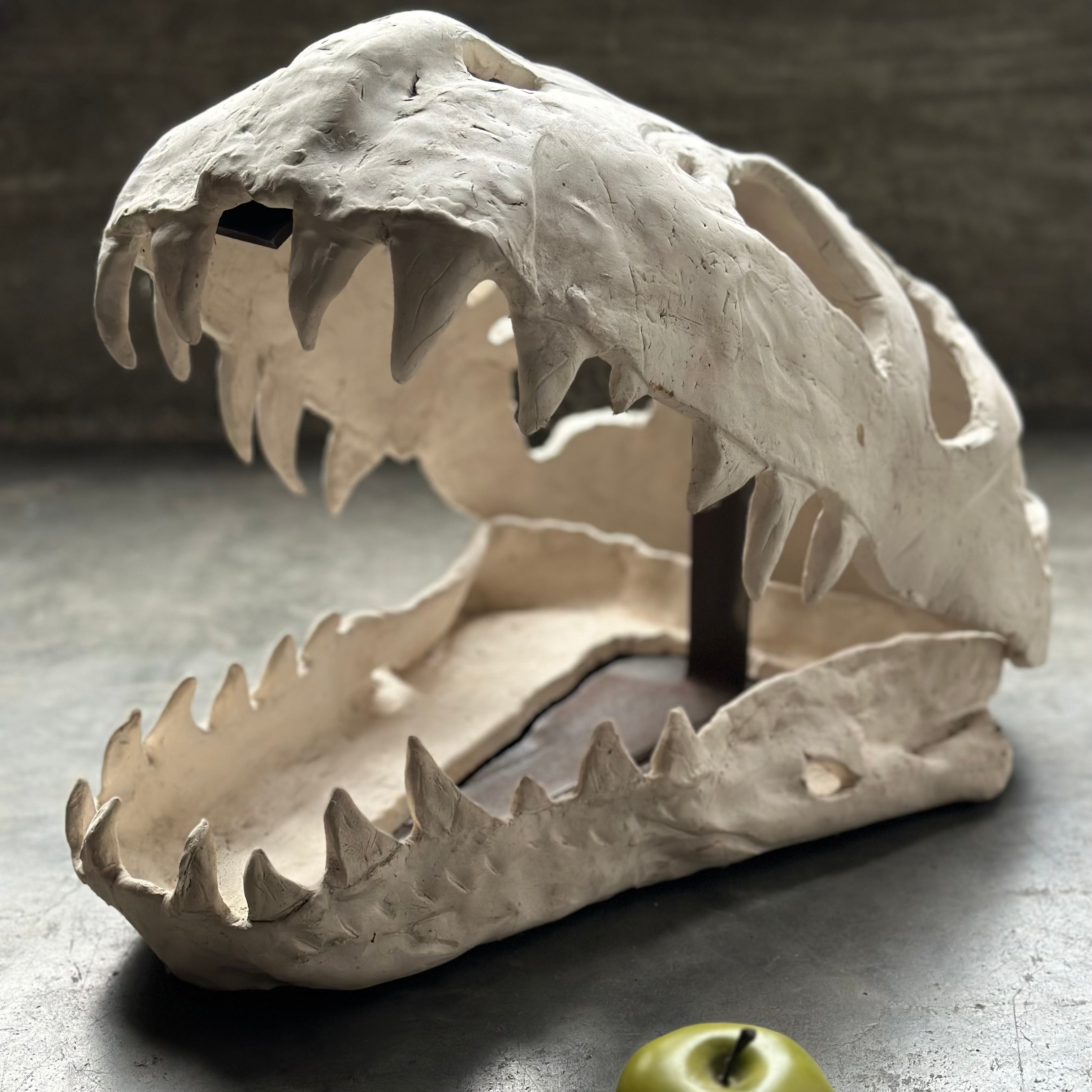 Slab Ceramic Dinosaur Skull