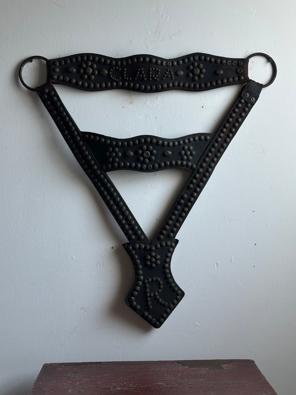 Clara’s Harness
