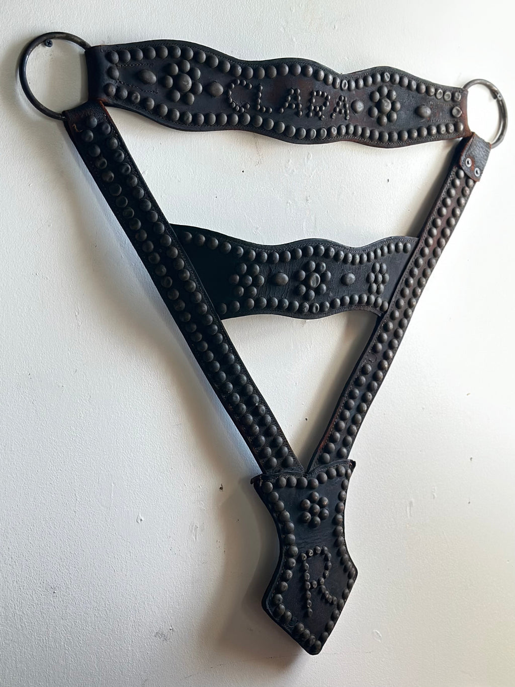 Clara’s Harness