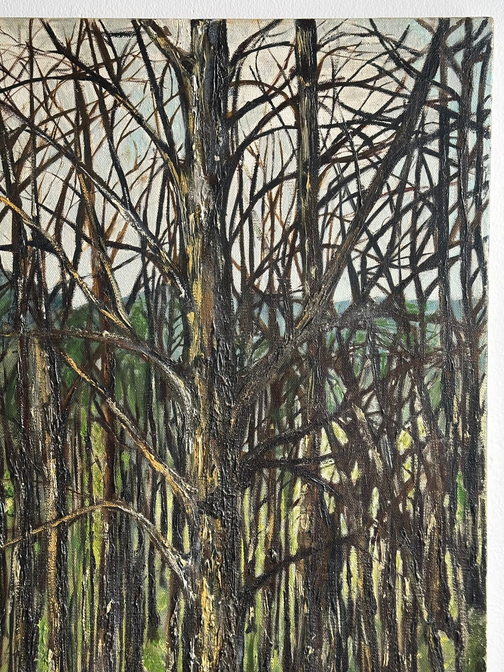Forrest for the Trees