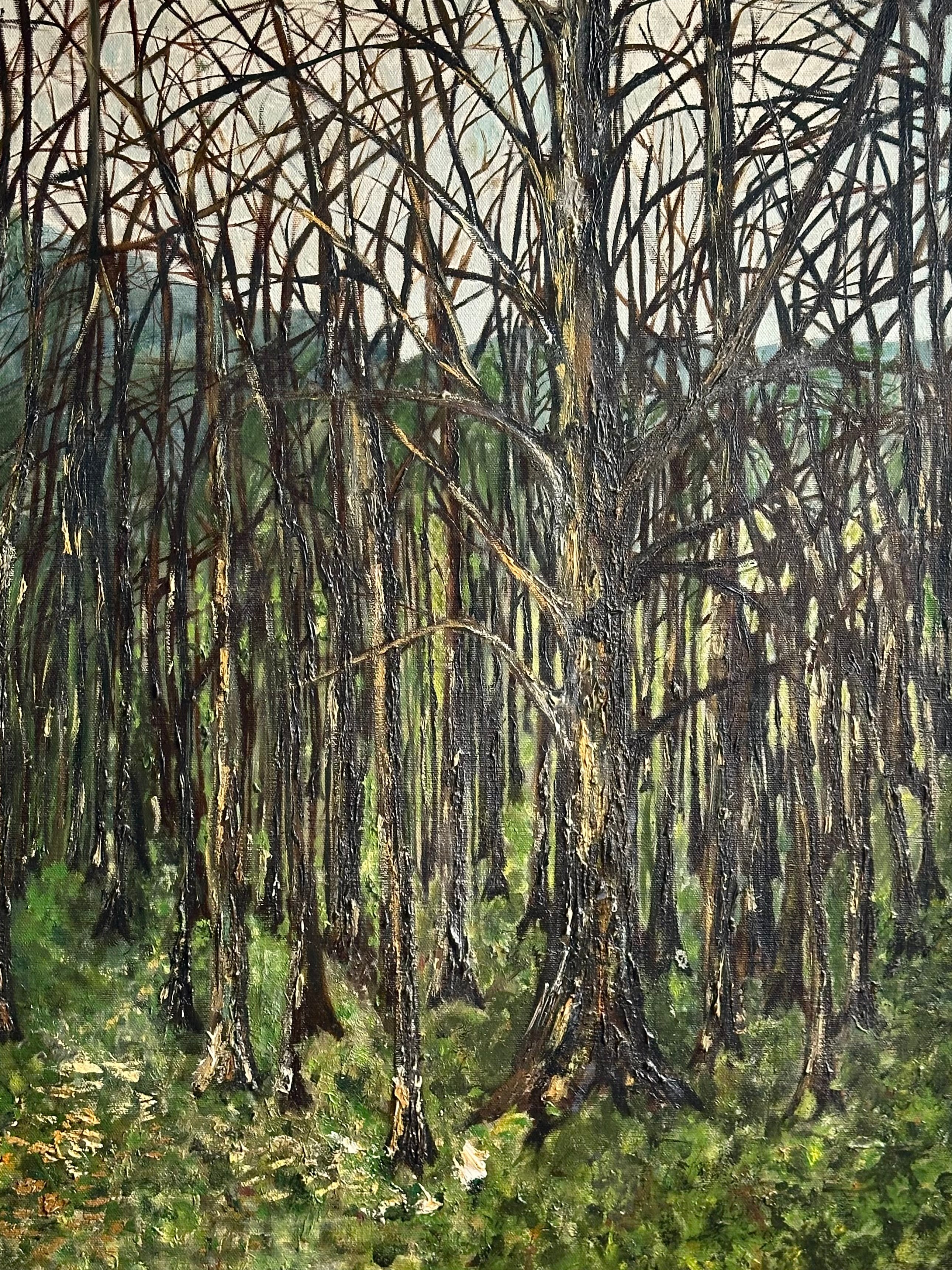 Forrest for the Trees