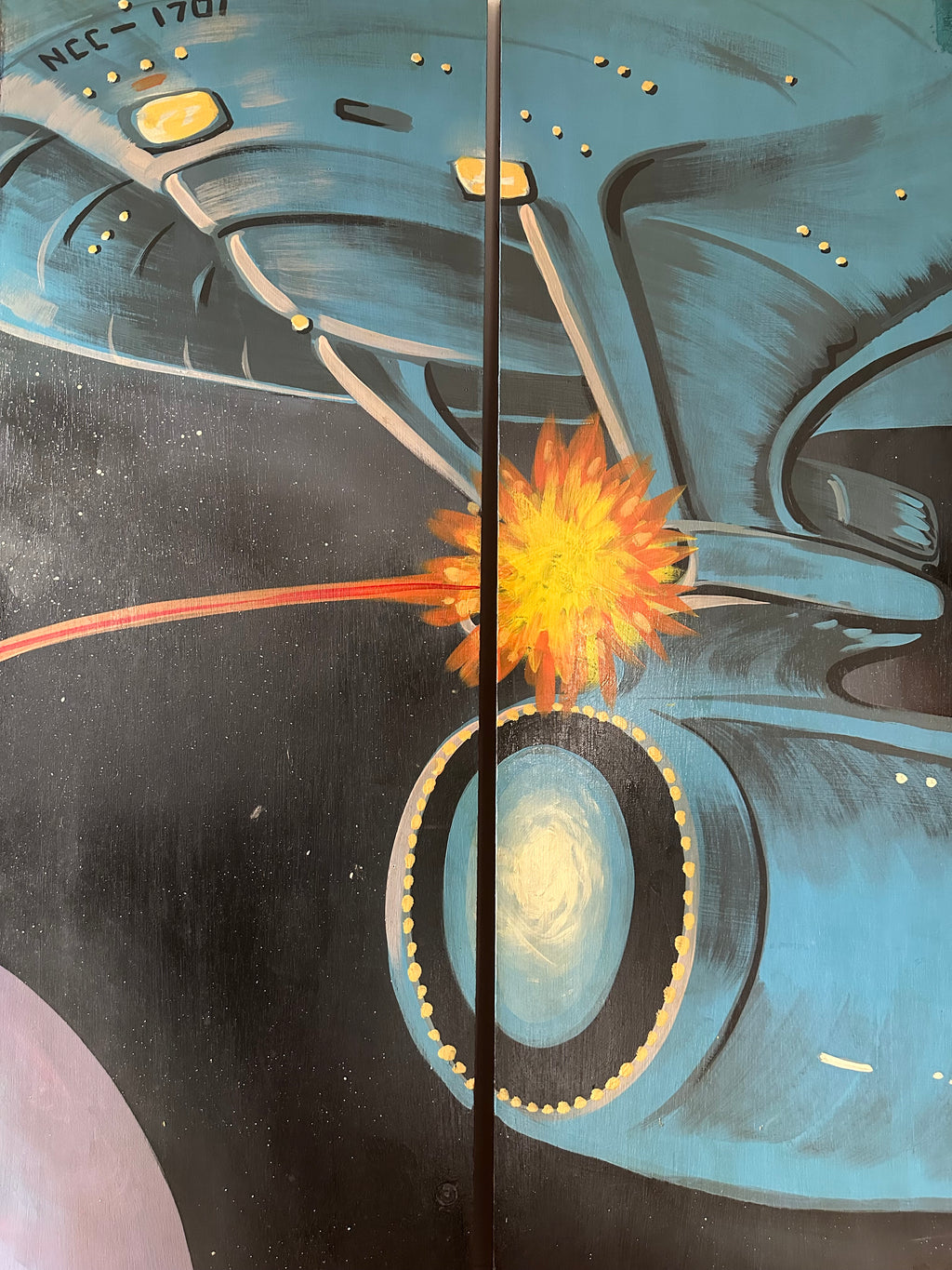 Star Trek Battle on Closet Doors
