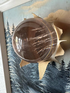 Augmented Winterscape
