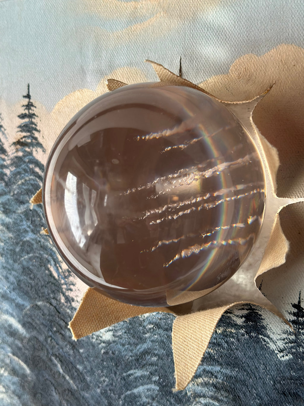 Augmented Winterscape
